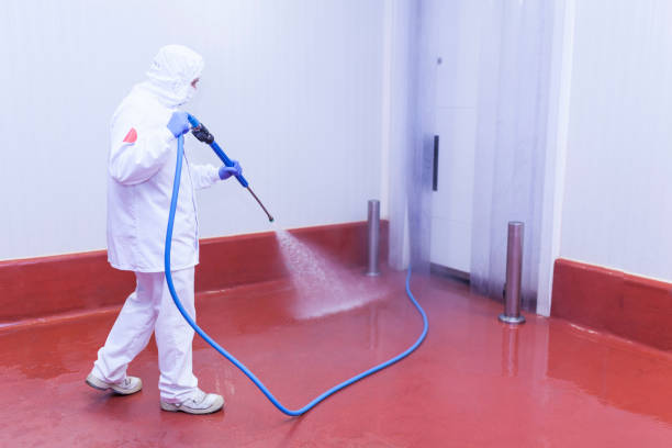 Best Boat and Dock Cleaning  in Covina, CA